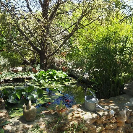 Holiday home Charming With Garden And Private Pool, Vernegues