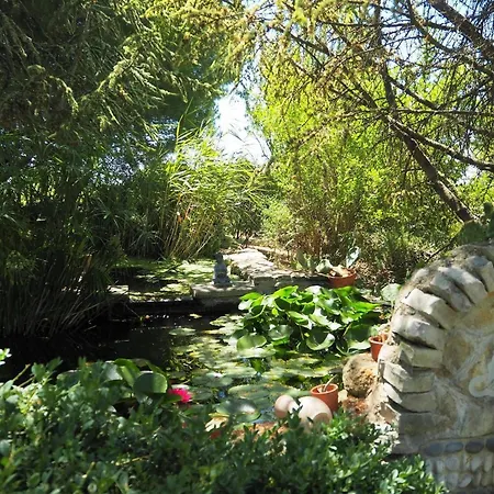 Charming With Garden And Private Pool, Holiday home Vernegues