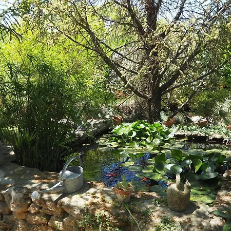 Charming With Garden And Private Pool, Vernegues