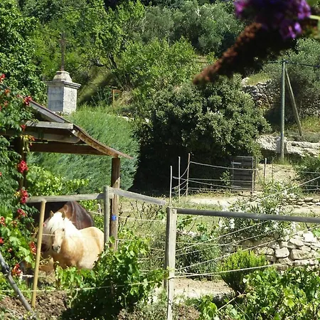 Charming With Garden And Private Pool, Holiday home